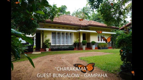 CHARAKAMA Guest Bungalow - GAMPAHA, Reservar Casa de hóspedes Minuwangoda Gampaha District