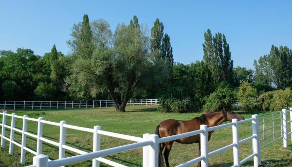 Equiliber Reitsportzentrum Burgenland, Reservar Estadia em quinta Hotéis baratos em Burgenland
