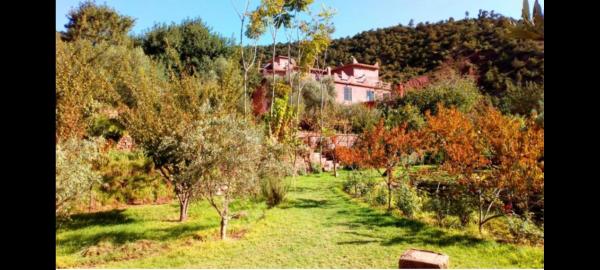 Ourika Timalizène le jardin des délices, Reservar Casa de hóspedes Ourika 