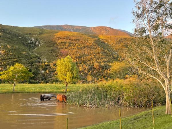 Frog Mountain Getaway, Reservar  Hotéis em Swellendam com piscina, Piscina
