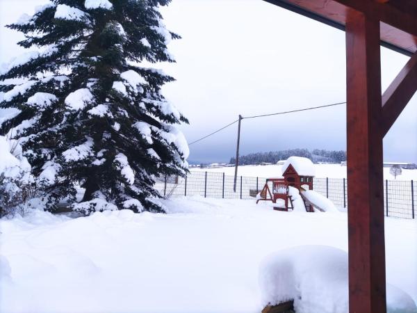 Ferienhaus am Hochficht Mühlviertel in Oberösterreich, Reservar Vila Freundorf Alta Áustria