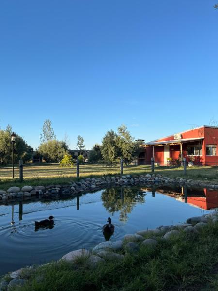 Finca La Calma, Reservar Casa de férias San Rafael Mendoza