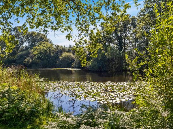 The Lodge At The Lake House, Reservar Casa de férias Ifold West Sussex