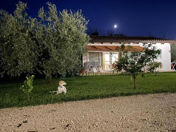 Villetta Bianca Pisticci-Matera, Reservar Casa de férias Hotéis em Pisticci com estacionamento, Estacionamento