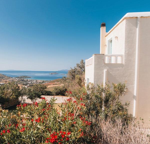 Villa Il Paradiso Andros, Reservar  Gavrio Andros Island