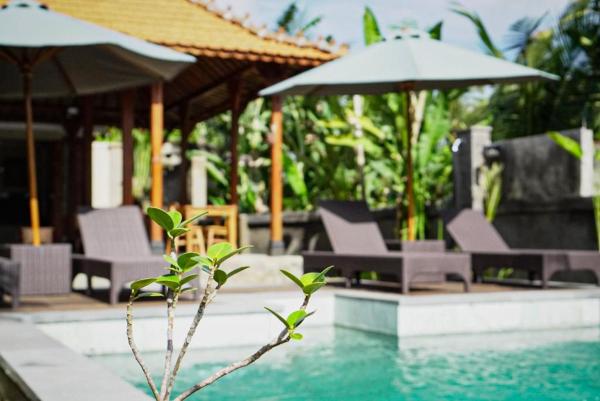 The Banana’s Kumbe Villa, Reservar  Hotéis em Bali com piscina, Piscina