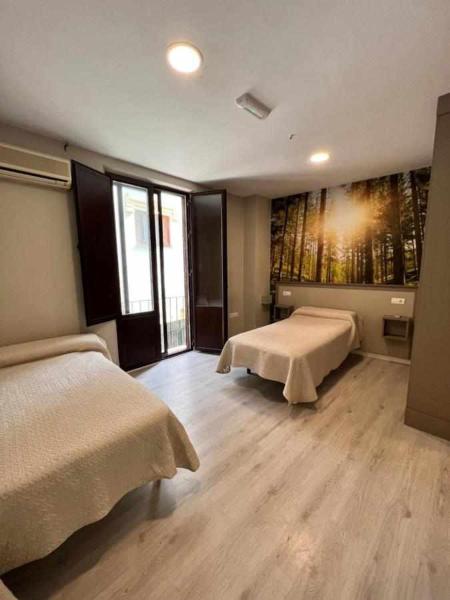 Hostal Viena Plaza Nueva, Reservar  Centro de Granada 