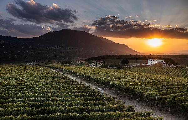 Giardino Delle Oche - Ocone Taburno Wine County, Reservar  Hotéis em Ponte com piscina, Piscina