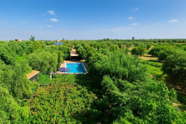 Eco Farm Tayssir Marrakech, Reservar  Hotéis em Marrakech-Tensift-Haouz com piscina, Piscina