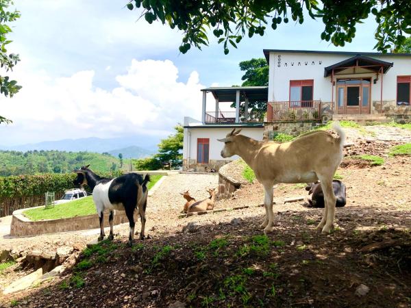 Amazi Land Home and Farm Stay, Reservar  Kibuye Gitsi