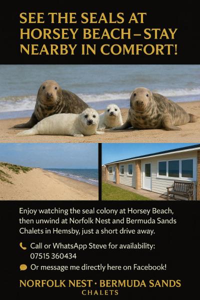 Norfolk Nest 2 bedroom chalet new media wall, Reservar Chalé Hemsby 