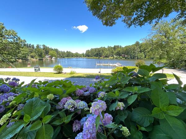 Mountain Lake Cottages, Reservar  Hendersonville Carolina do Norte