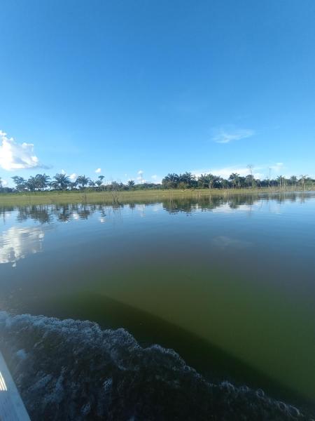 Pousada recanto das palmeiras, Reservar  Hotéis em West-Central Brazil com Piscina, Piscina