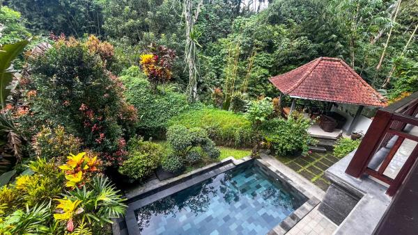 Nadiya Jungle Ubud Home, Reservar  Hotéis em Bali com piscina, Piscina