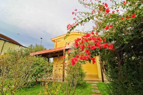 Villa Sofia