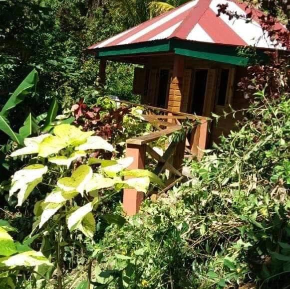 Berkey\s Jungle Paradise Resort, Reservar  Hotéis em Roseau com Estacionamento, Estacionamento