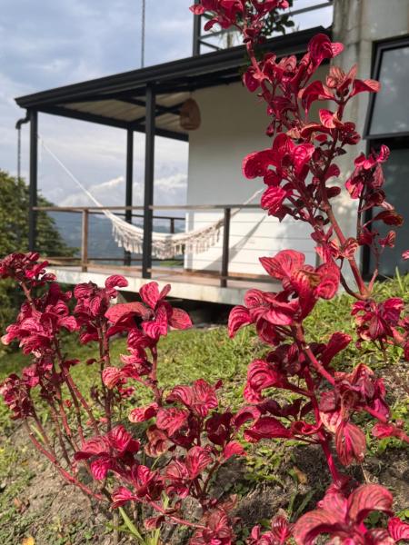Cabañas Alondra - Hotel Boutique, Reservar  Hotéis em Vergara com Piscina, Piscina