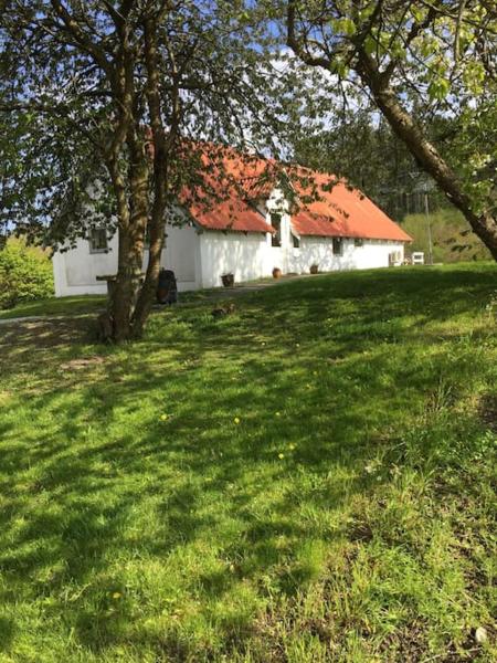Vacation home on the Half island Helgenæs, Reservar  Knebel 