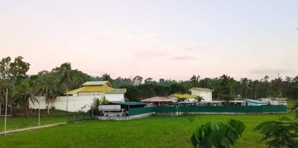 green aa garden resort, Reservar  Sikatuna Bohol