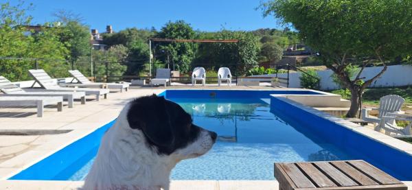 SIMION, Reservar  Hotéis em Córdoba com piscina, Piscina
