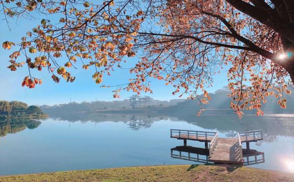 nhà nghỉ TAM AN, Reservar  Da Lat Lam Dong