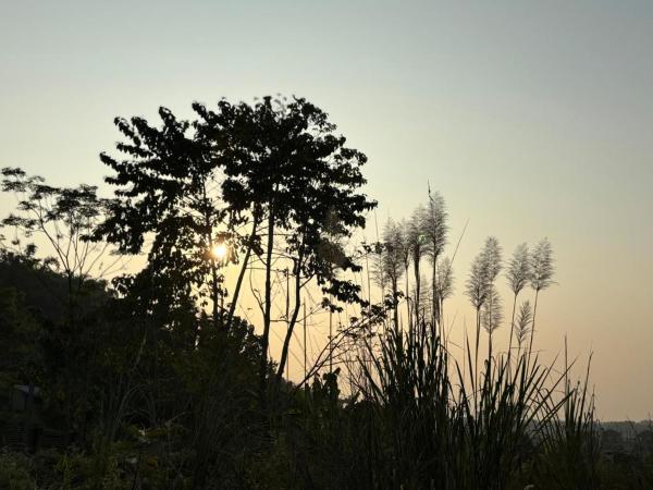 Teplong - The Paix, Kaziranga, Reservar  Kaolākhāt Assam