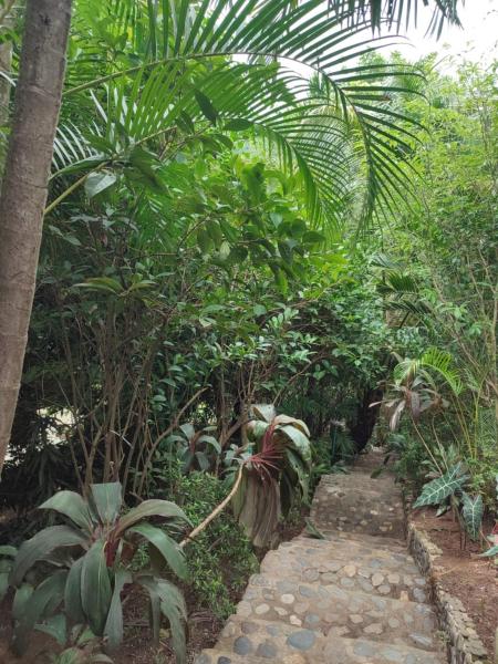 Hotel San Rafael, Reservar  Santa Marta 