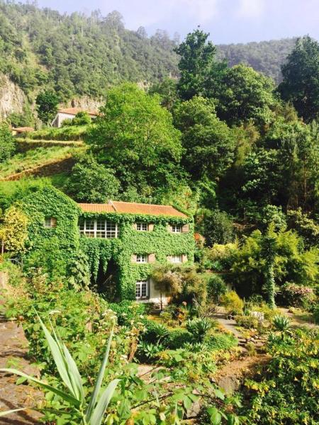 Moinho do Comandante, Reservar Estadia em quinta Santana Ilha da Madeira