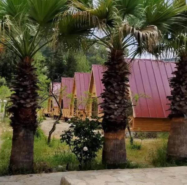 donkisot dogal yasam, Reservar  Hotéis em Yazir com Piscina, Piscina
