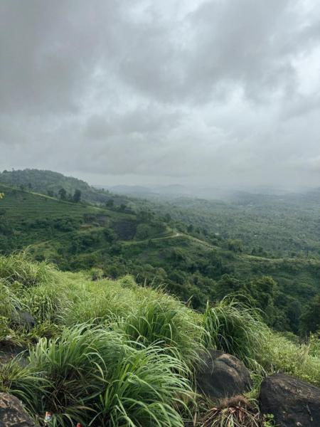 Banasura Wayanad, Reservar  Meenangadi Wayanad