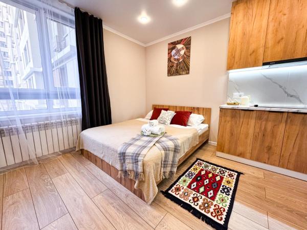 Urban studio for 4 person in Almaty, Reservar  Almaty Cazaquistão