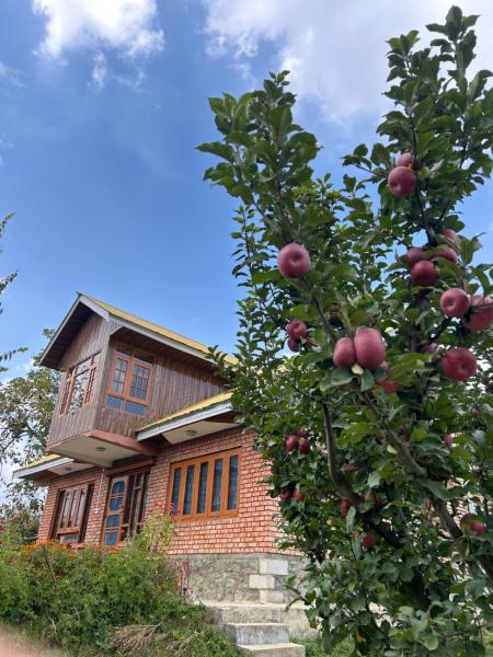 The Mool Farm and Living, Reservar  Tangmarg 