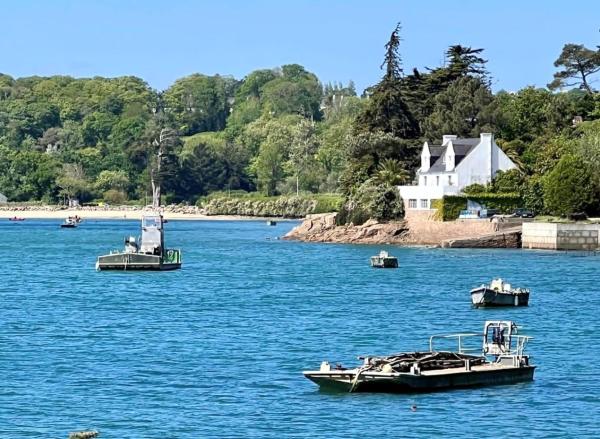 BB les pieds dans L\eau CARANTEC, Reservar  Carantec Finistère