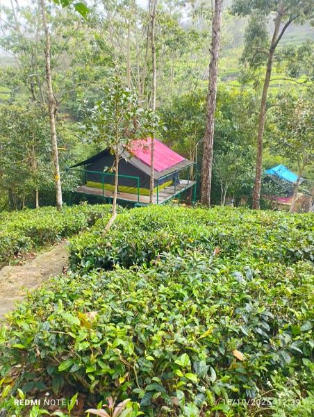 Organic Farmers Tent & Trekking, Reservar  Yedapalli Tamil Nadu