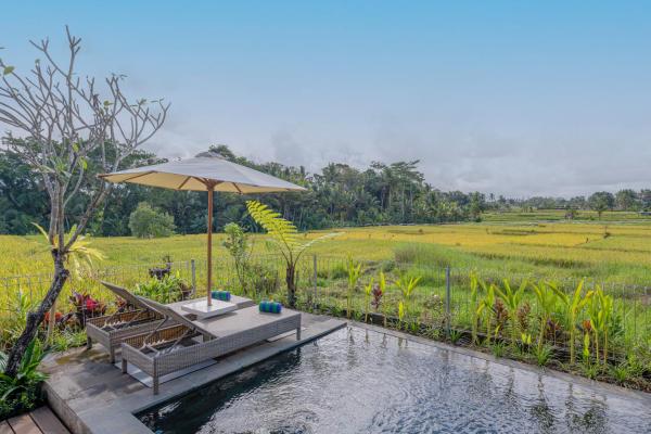 Aranya Ubud Villa, Reservar  Hotéis em Bali com piscina, Piscina