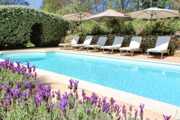 Provençal Villa With Pool Near St Antonin Du Var, Reservar  Hotéis em La Caravane com piscina, Piscina