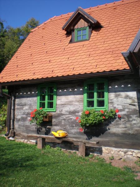 APARTMANI Etno kuća pod Okićem, Reservar Casa de campo Hotéis em Zagreb com piscina, Piscina