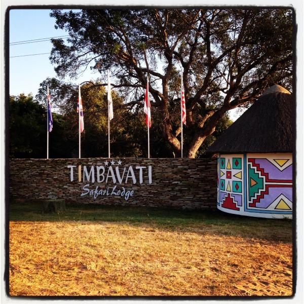 Timbavati Safari Lodge, Reservar Lodge Hotéis em Mpumalanga com piscina, Piscina