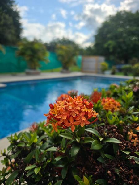 Cabañas la Familia, Reservar  Hotéis em Panama com Piscina, Piscina