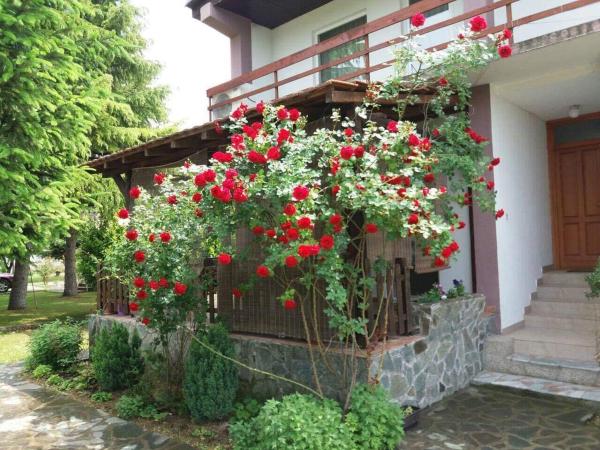 Riverside Villa Matka, Reservar Vila Hotéis em Escópia com piscina, Piscina