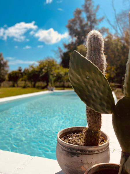 Finca W - Coín - Málaga - Andalucía, Reservar  Hotéis em Coin com pequeno-almoço, Café da manhã